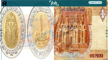 الجنيه المصري يرتفع رغم توقعات السوق بانخفاضه